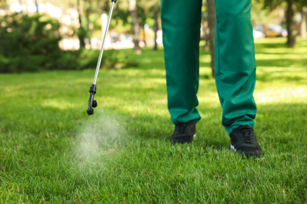 Reliable Jay, OK Pest Control Solutions