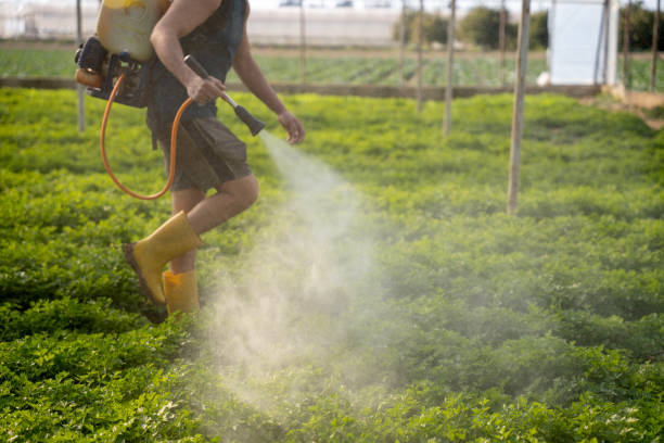 Best Best Pest Control Companies  in Jay, OK