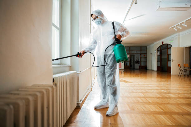 Best Flea Control Services  in Jay, OK